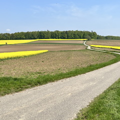 22-05-02 11-55-10 0712